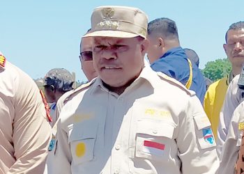 Semua Puskesmas Ditargetkan Miliki USG dan Pendampingan Konsultasi Online dari Dokter Spesialis 