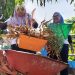 Peringati HHD-HKD 2023, Balai PPW Papua Barat Bersihkan Lingkungan Perkantoran