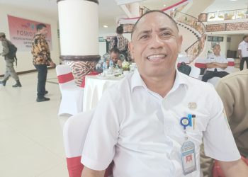 Kemenpan RB Rekomendasikan 47 Indikator untuk PerbaikanSPBE di Papua Barat