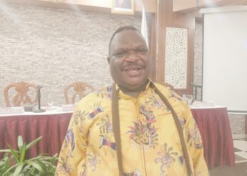 Wanggai, Fonataba, dan Sumito Diusul DPR Menjadi Penjabat Gubernur di Papua Barat