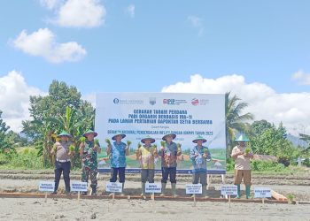 Dilantik Sebagai Staf Ahli Bidang SDM, Irwanto Absen karena Sakit