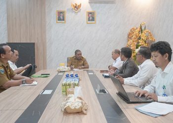 Bertemu Bupati, BPKP Papua Barat Siap Dukung Tata Kelola Pemkab Manokwari