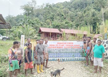 Mediasi Gagal, Masyarakat Adat Blokade Jalan Mameh – Windesi
