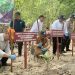 BPOM Manokwari Tanam 500 Bibit Mangrove di Telaga Wasti
