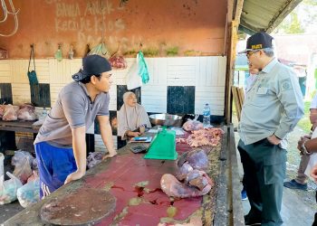 Wamentan Janji Bantu Pemkab Manokwari dengan Stimulan Sapi dan RPH Modern