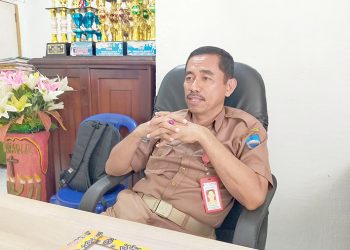 Dinkes Manokwari : 205 Kasus DBD Selama Tahun 2023, Tiga Orang Meninggal Dunia