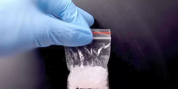 Diduga Terlibat Kasus Sabu, Oknum Perwira TNI di Manokwari Ditangkap Tim Gabungan