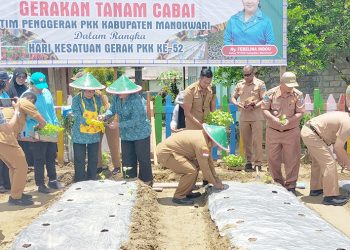 Manokwari Gelorakan Gerakan Tanam 1.000 Bibit Cabai Jaga Ketahanan Pangan
