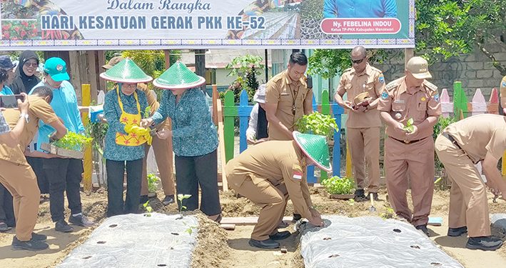 Manokwari Gelorakan Gerakan Tanam 1.000 Bibit Cabai Jaga Ketahanan Pangan