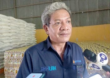 Ribuan Guru PNS di Teluk Bintuni Tidak Terima Jatah Beras, Bulog Manokwari Klaim Tersalurkan Semua