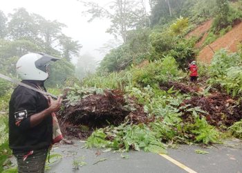 Tanah Longsor dan Aspal Pecah di Tahota, Bupati Waran Minta Perhatian Serius BPJN
