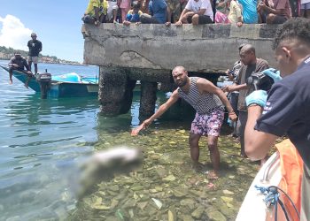 Warga Temukan Mayat Laki-laki di Sekitar Pasar Ikan Sanggeng