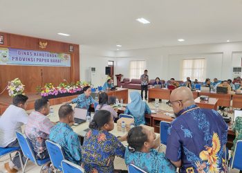 DPM-PTSP Papua Barat Terbitkan 4.958 NIB Sepanjang 2023