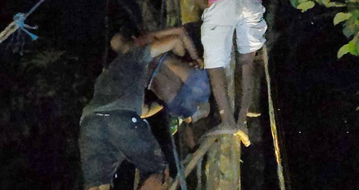 Seorang Pegawai Tersangkut di Atas Pohon Langsat 9 Jam