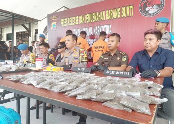 LP3BH Mendesak Audit Pembukaan Lahan Pangan di Kampung Susweni