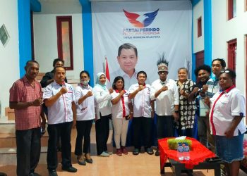 Daftar ke Perindo dan Hanura, Mansnembra Ungkap Keamanan Jadi Perhatian Serius