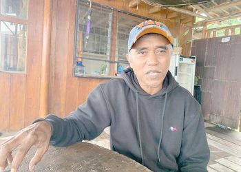 6 Pengangkut Kayu Merbau Wondama Tujuan Nabire Dituntut Pidana 3,5 – 4,5 Tahun Penjara