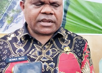 Pemda Manokwari Buka Penerimaan PNS Formasi 2021 dengan Kuota 308 Orang