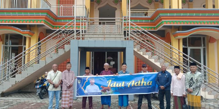 Kepala Suku Besar Arfak Sumbang 48 Ekor Sapi Kurban kepada Umat Islam di Papua Barat