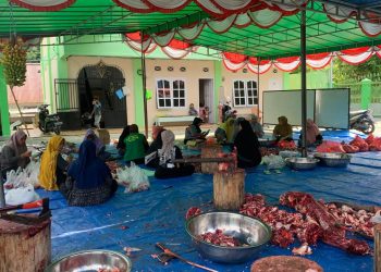 Masjid An-Nur Wosi Dalam Sembelih 13 Ekor Sapi Kurban