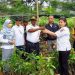DLH Mansel Bantu Sekolah Calon Adiwiyata Bibit Tanaman Berbuah