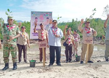 Papua Barat Tanam 1.000 Pohon Mangrove Peringati HUT Pramuka dan Hari Mangrove Se-Dunia   