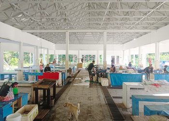 Dessy Menilet akui Menurunnya Penjualan karena Tingkat Konsumsi Ikan Rendah