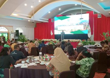 Hadirkan Promo Road to SOTF, Garuda Indonesia Beri Penawaran Harga Khusus