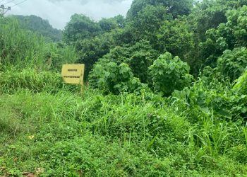 WBP Lapas Manokwari Dibina Memanfaatkan Lahan Kosong