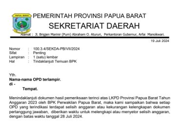 BPK Temukan ‘Selisih Anggaran’ di 20 OPD Pemprov Papua Barat