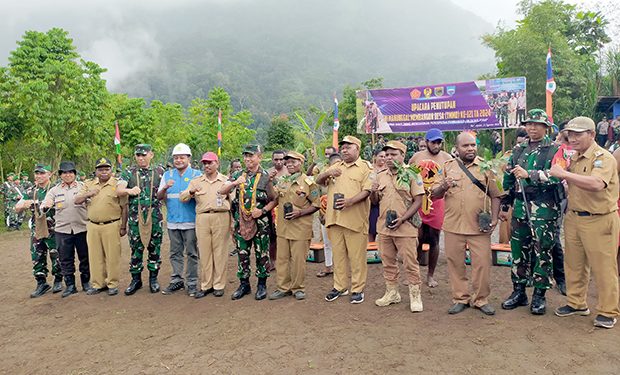 Petani Kopi di Distrik Mokwam Dapat Bantuan 16.000 Bibit Pohon Kopi Arabica
