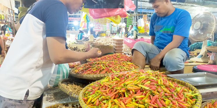 Wakil Bupati Harus OAP Belum Diatur dalam UU Otsus