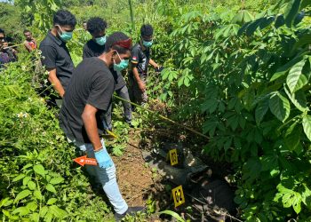 Penemuan Mayat Tinggal Tengkorak di Hutan Belakang Kantor Bupati Manokwari