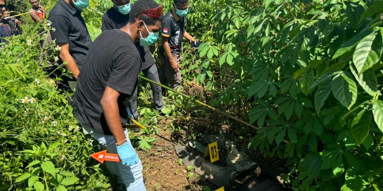 Penemuan Mayat Tinggal Tengkorak di Hutan Belakang Kantor Bupati Manokwari