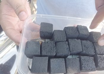 Dinas Kehutanan Dorong Peningkatan Kapasitas 4 LPHD Pembuatan Asap Cair dan Briket Arang