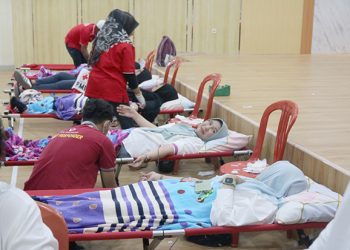 Donor Darah Peringati HUT ke 79 RI, Kementerian PUPR Papua Barat Sumbang 94 Kantong