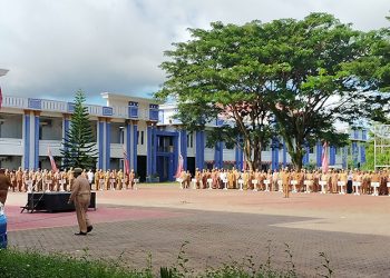 Cepat Lambatnya Pembayaran Gaji Honorer dan TPP Pegawai Bergantung DBH Otsus dan PAD