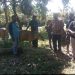 Dinas Peternakan Provinsi dan Kabupaten Salurkan Bantuan Sapi kepada Kelompok Peternak di Manokwari