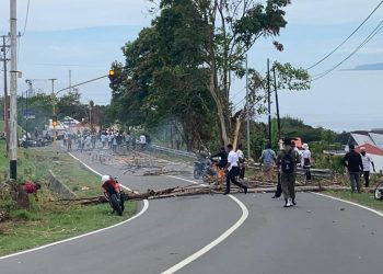 Tenaga Honor Minta Kepastian Nasibnya