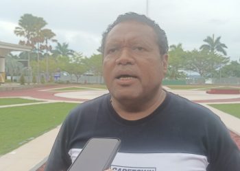 Dinas ESDM Papua Barat Dorong Pengalihan Status Kawasan Tambang