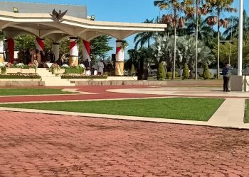 Peringati Hari Pahlawan Sekaligus Hari Kesehatan Nasional, Pemprov Gelar Upacara Bendera