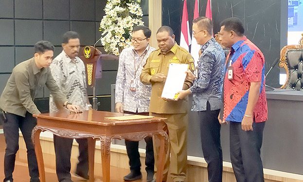 TP2DD Manokwari Dorong Penerapan Sistem Digitalisasi di Pemerintah Daerah