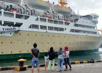 Tahun Depan, Pelni Kurangi Kapal Beroperasi di Manokwari