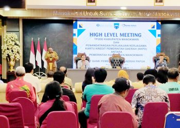 TP2DD Manokwari Dorong Penerapan Sistem Digitalisasi di Pemerintah Daerah