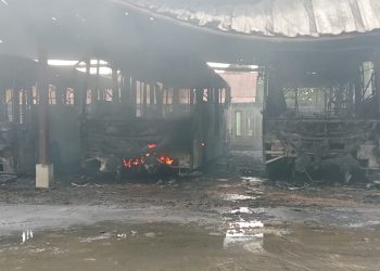 BPK Dorong Pemerintah dalam Tata Kelola Pendanaan Mitigasi Perubahan Iklim