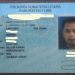 Amir Sianturi Tewas Tertembak di Lokasi Judi Sabung Ayam