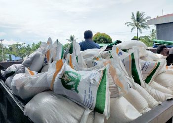 Hadapi Berbagai Ivent di 2025, Ampnir: Keputusan KPU Teluk Wondama Diterima