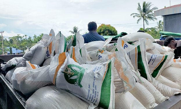 Hadapi Berbagai Ivent di 2025, Ampnir: Keputusan KPU Teluk Wondama Diterima