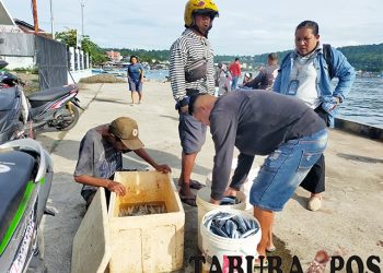 Hasil Tangkap Nelayan Manokwari Berkurang