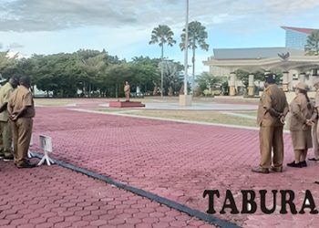 Tahun Ini Batas Akhir Pengangkatan 1.002 Tenaga Honor di Papua Barat